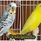FB_IMG_1535389617698