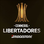 29qn061551010749