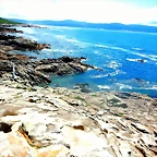 DSCN5506