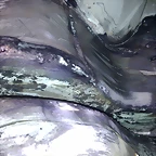 IMAG0954