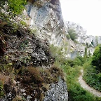 DSCN6563