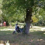 vendimia 095