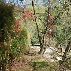 DSCN3968