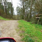29-IMG_4165