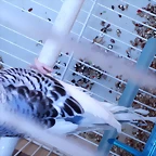 20190915_131138