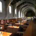 biblioteca massana