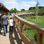 Beauval agost 2010 387