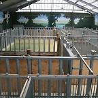 Beauval agost 2010 388