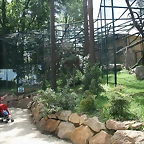 Beauval agost 2010 492
