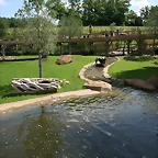 Beauval agost 2010 385