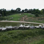 Beauval agost 2010 554