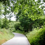 DSCN4273