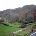 DSCN1010