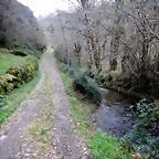 DSCN2074