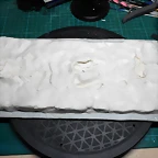 DSCN5515