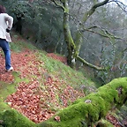 DSCN0689