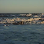 DSC07119