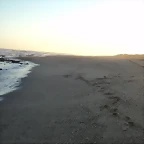 DSC07120