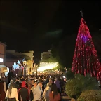 IMG-20191130-WA0025