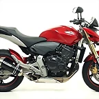 thunderHornet02