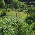 DSCF2659