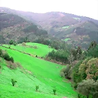 DSCN6295