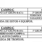 AlevinTFMesones2017-2