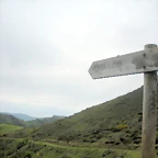 DSCN4621