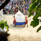 DSCN3924