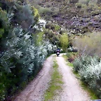 DSCN9100