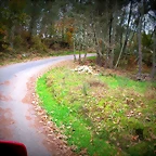 32-IMG_4170
