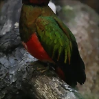 Zoo de Barcelona 30-04-11 i 01-05-11 473