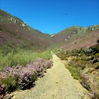 DSCN9357
