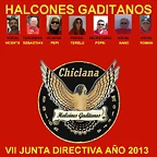 VII JUNTA DIRECTIVA 2013