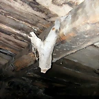 DSCN2227
