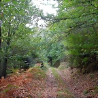 DSCN2213