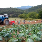 DSCN2240