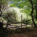 DSCN2219