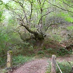 DSCN2218