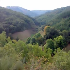 DSCN2222