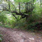DSCN2216
