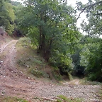 DSCN2221