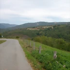 DSCN2233