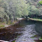 DSCN2254