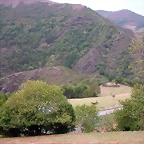 DSCN2266