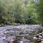DSCN2314