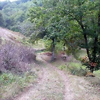 DSCN2200