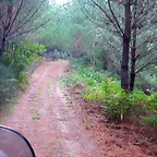 DSCN2201