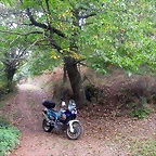 DSCN2202