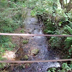 DSCN2220